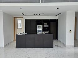 White House Residences (D10), Condominium #558171621
